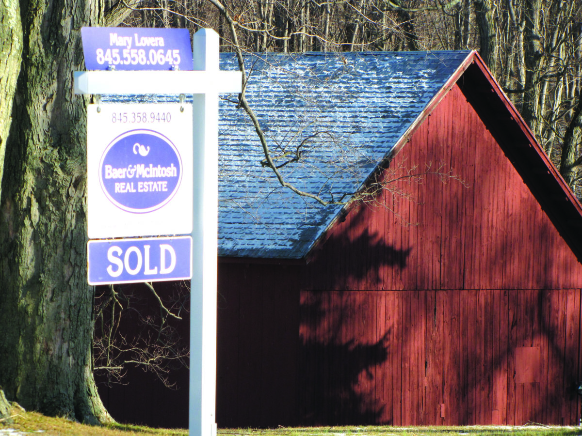 Brokers â€˜soldâ€™ on wait-and-see market