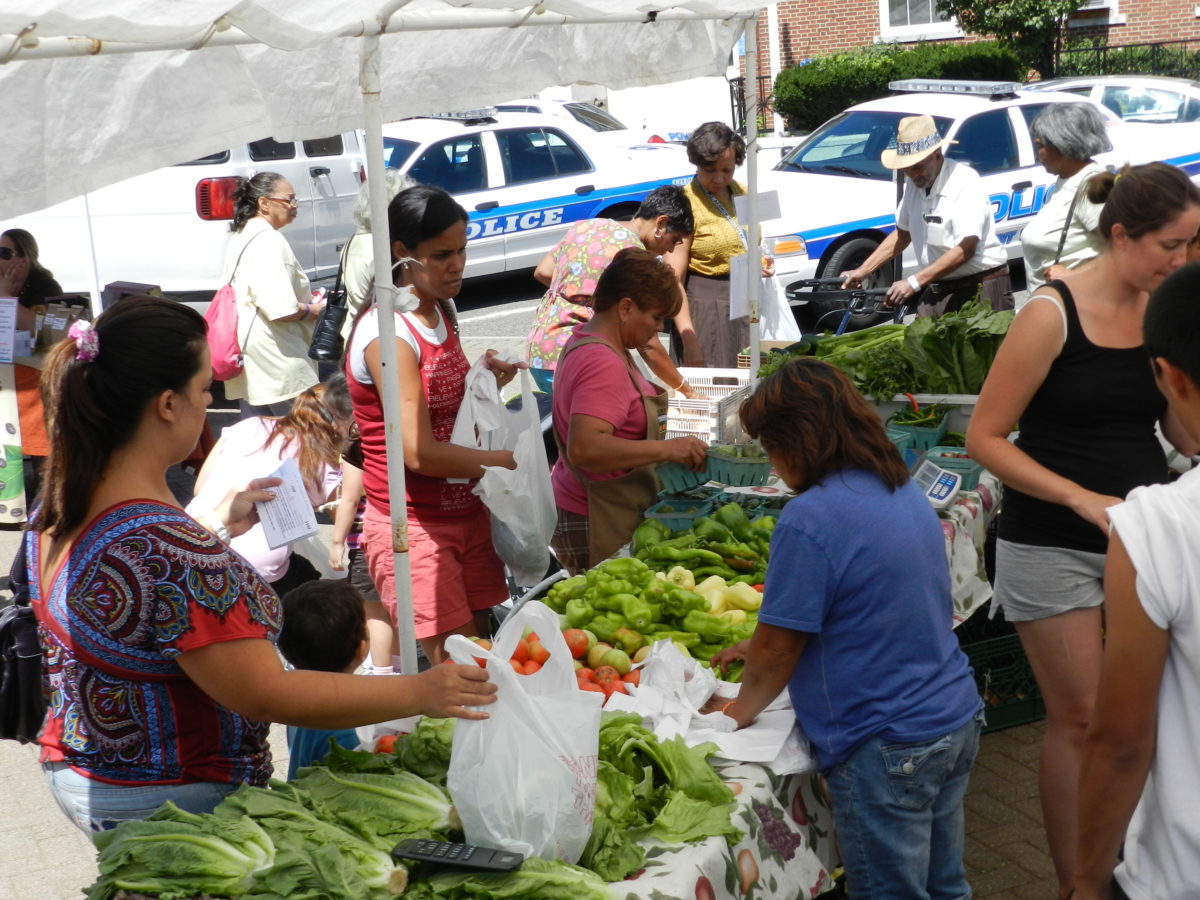 Farmersâ€™ markets to boost jobs