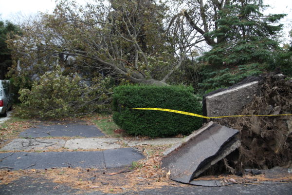 Hurricane Sandy Rye