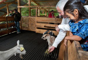 Carlos Carrazana, COO of Save the Children, helps Isabella, 4, feed a goat at a new goat-raising center in Aldea El Paraiso, Guatemala. Photo courtesy of Save the Children.