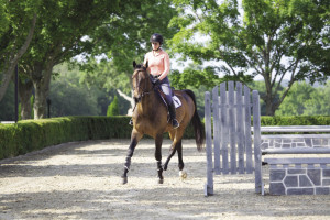 A rider at old Salem Farm on a recent morning. Photograph by Bob Rozycki