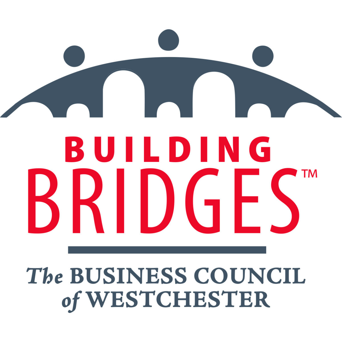 County executive candidates face off in first debate