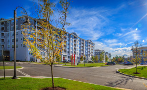 The Abbey Woods development in Danbury.