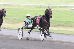 Sebastian K ran in the International Trot Preview at Yonkers Raceway on Oct. 25. He broke stride and finished at the back of the pack.