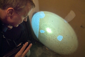 Robert Weitz examines mold.