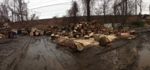 Firewood ready to be split at Norwalk's Smith Street debris site.