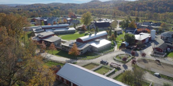 Green Chimneys in Putnam County. Photo courtesy Green Chimneys