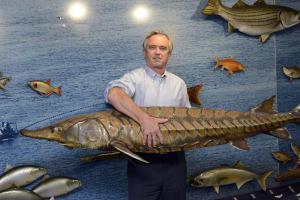 Robert F. Kennedy Jr. holds a model of a Hudson Valley sturgeon at the Pace Environmental Law Clinic. Photo by Bob Rozycki