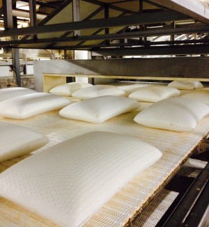 Talalay Global make its mattresses and pillows using latex foam rubber.