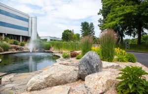 A summer view of Northern Westchester Executive Park. 