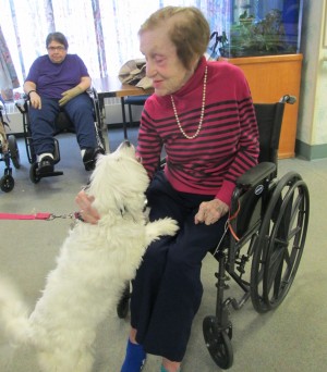  dog with a mission to cheer at the Nathaniel Witherell Short-Term Rehab and Skilled Nursing Center in Greenwich. Photo courtesy The Witherell