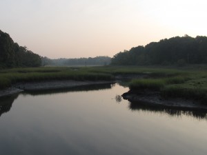 The Otter Creek Preserve in the village of Mamaroneck.