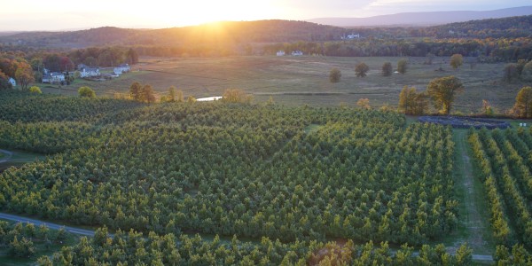 The site of Angry Orchard's new cidery at its 60-acre apple orchard in the village of Walden.