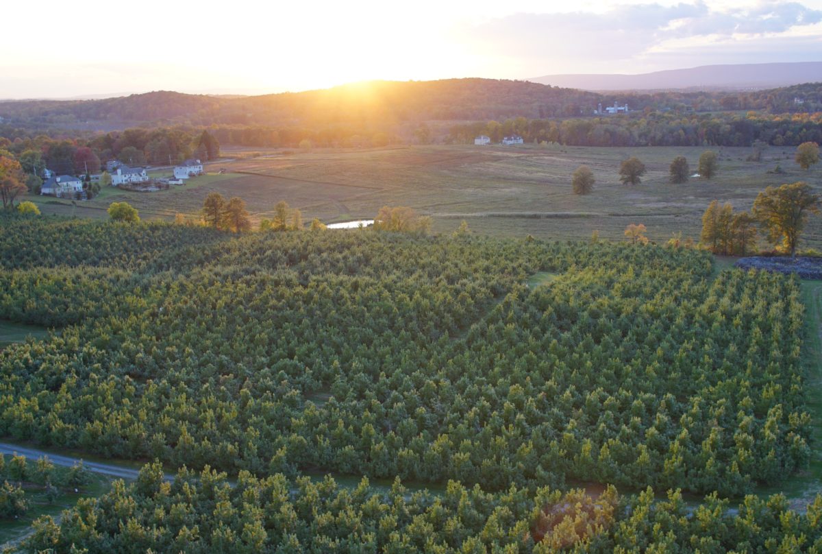 Angry Orchard breaks ground on cidery in Walden