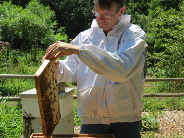 D.J. Haverkamp inspects a bee hive. Photo by Colleen Wilson