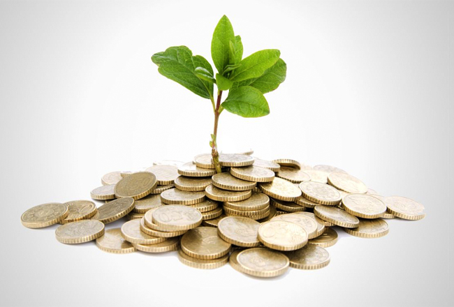 Hudson Valley Startup Fund invests $175k in Newburgh shrimp garden