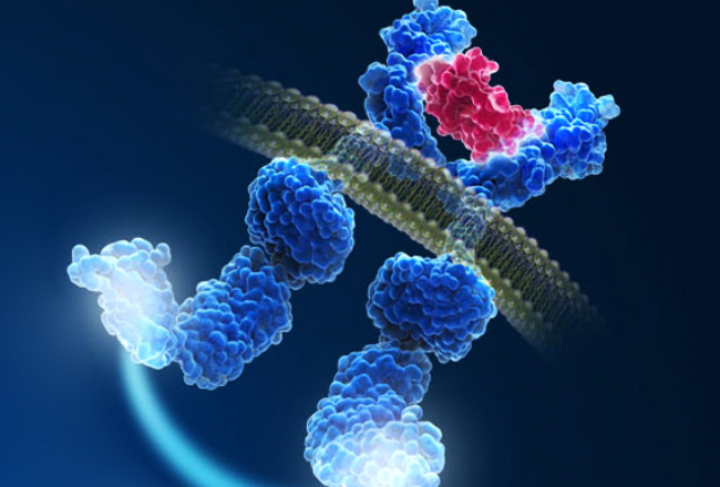 Regeneron announces gene sequencing initiative with GSK, U.K. Biobank