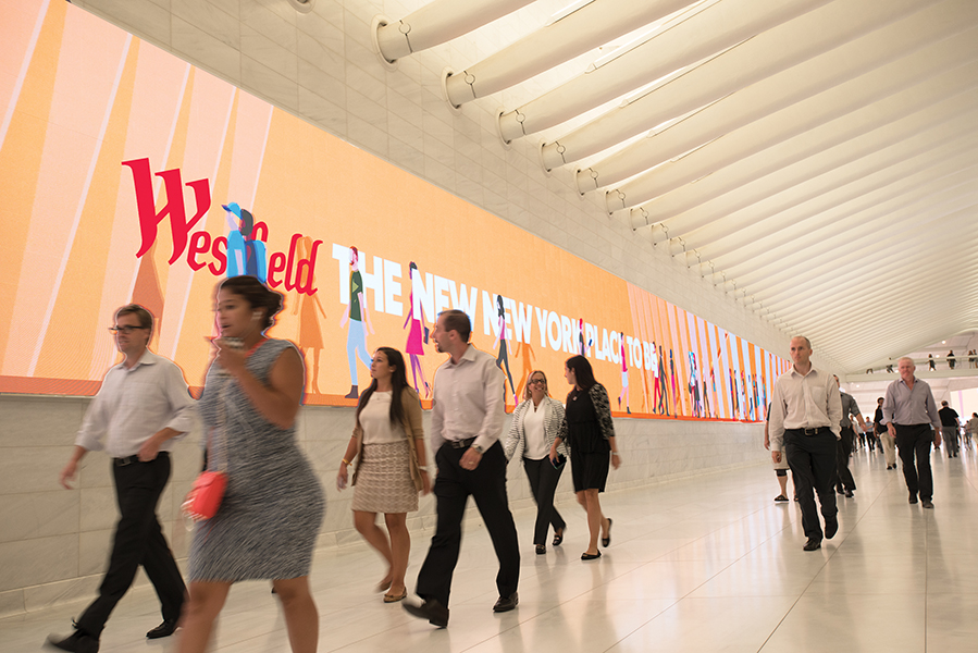 From NBA finals to NYC transit, Purchase-based ANC is on the board