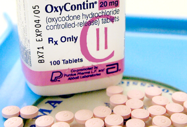 oxycontin opioid Purdue Pharma dutchess county