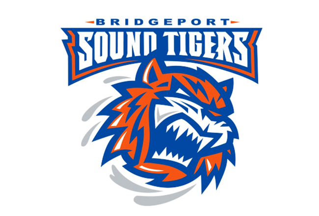 bridgeport sound tigers hockey harbor yard webster arena