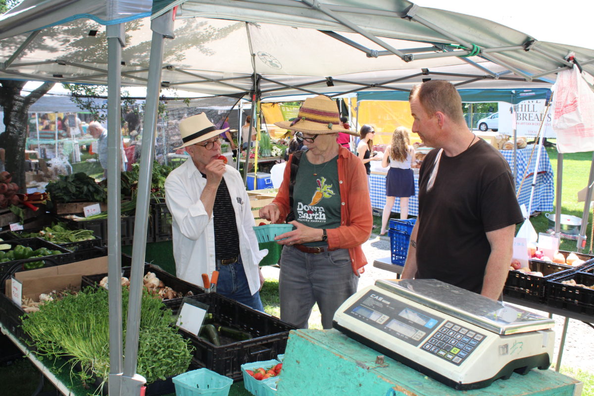 down to earth farmers markets