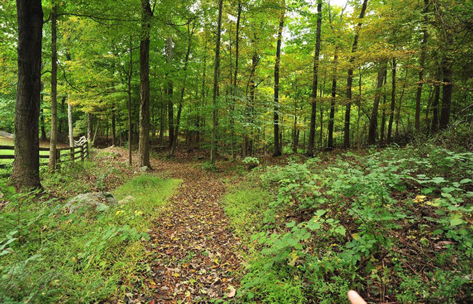 Western Land Trust completes 200th easement