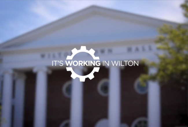 wilton video business