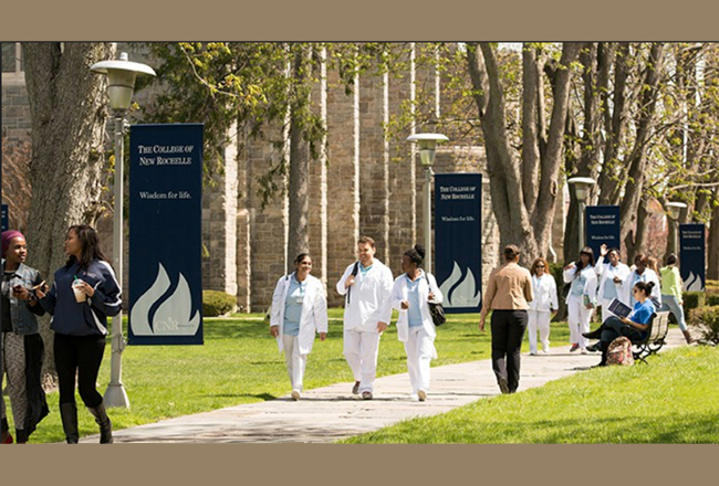 the college of new rochelle