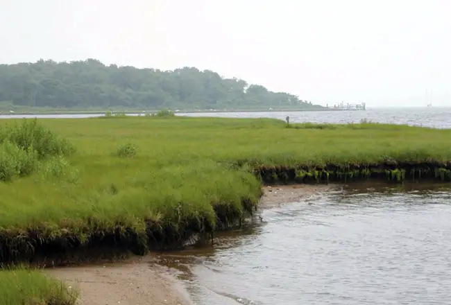 Long Island Sound grants