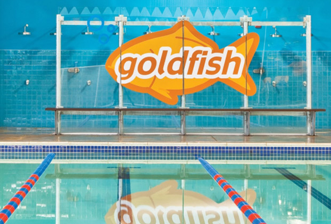 goldfish swim school