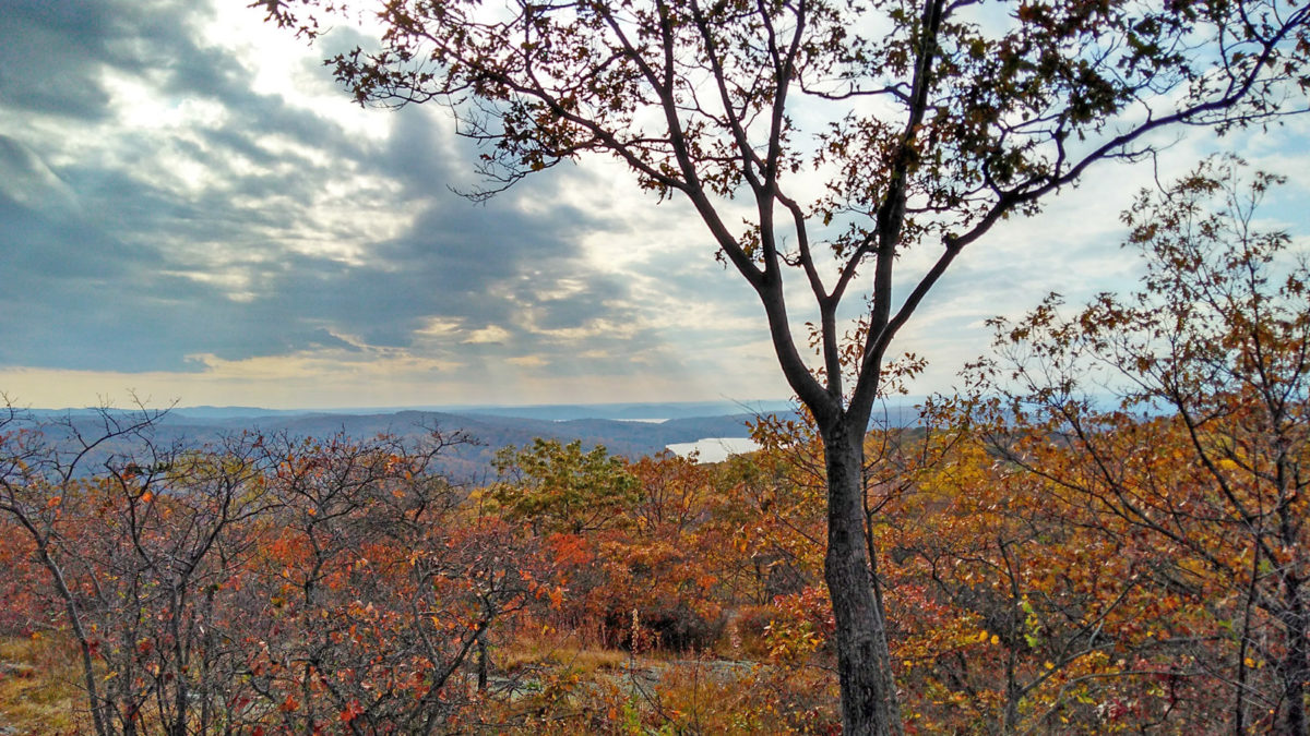 turkey mountain westchester land trust