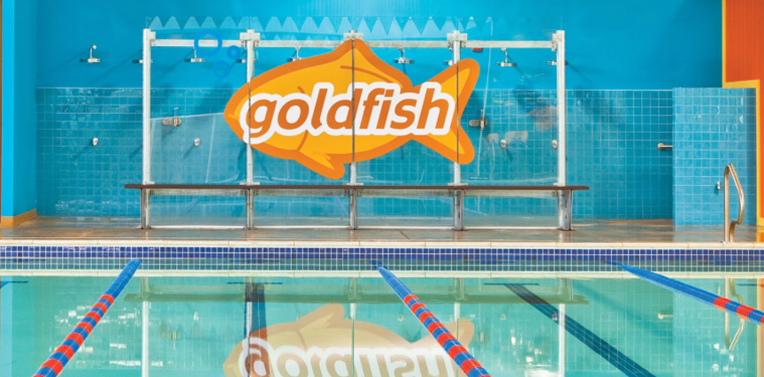 goldfish swim school yorktown heights