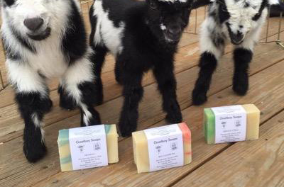 Goatboys and newest kids at gardening events