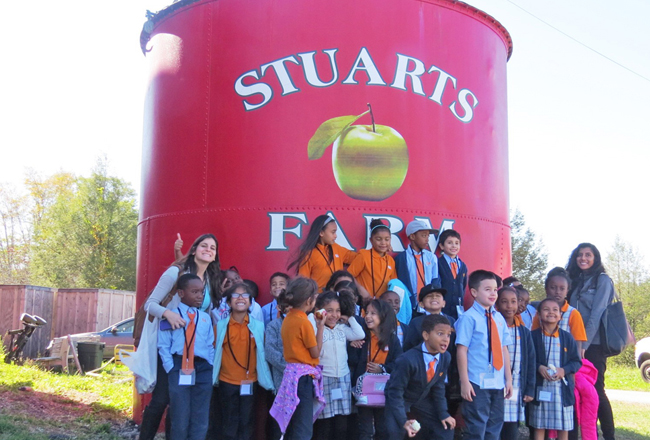 Stuarts fruit farm