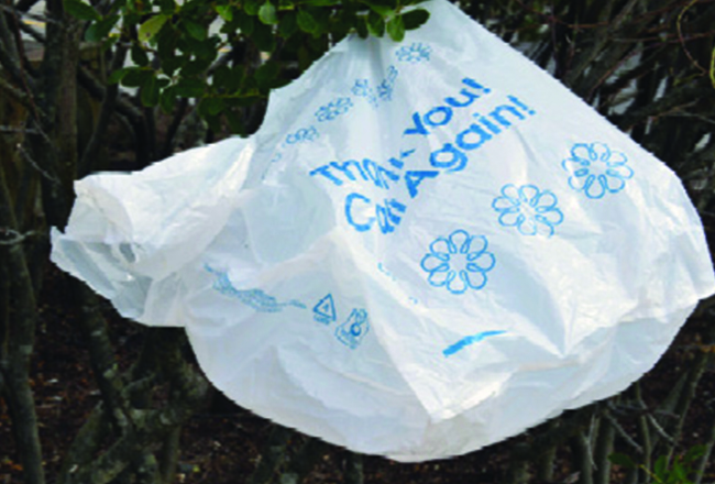 Plan would ban single-use plastic bags at retailers