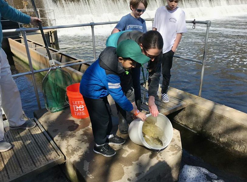 World Fish Migration Day