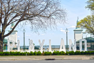 playland standard amusements