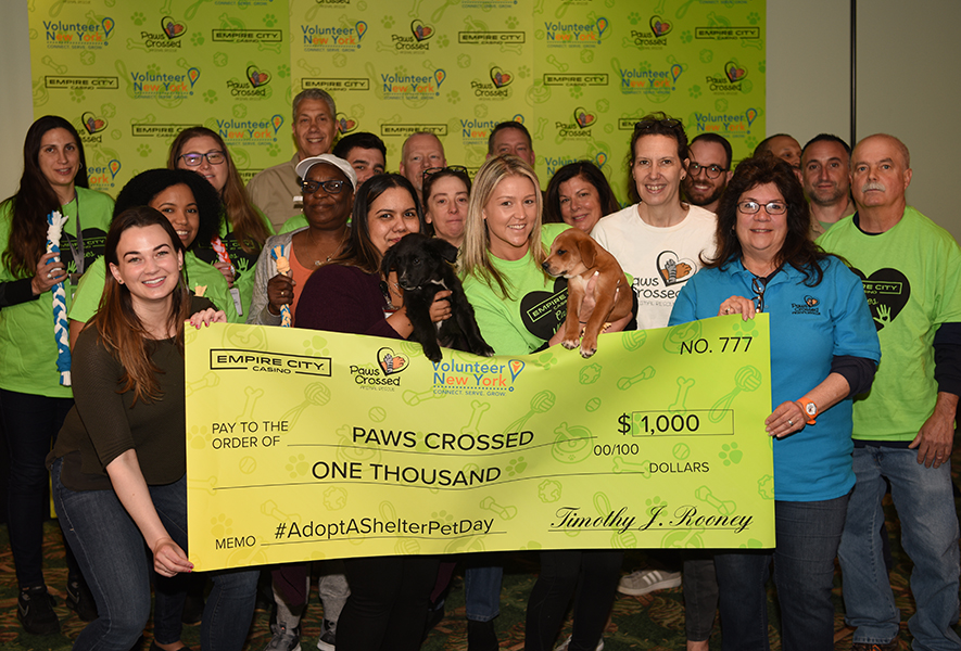 Shelter puppies win at Empire City Casino