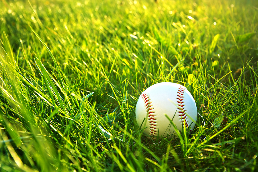 Rocco & Associates sponsors Fairfield American Little League