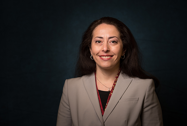 Holz to become an NYMC dean