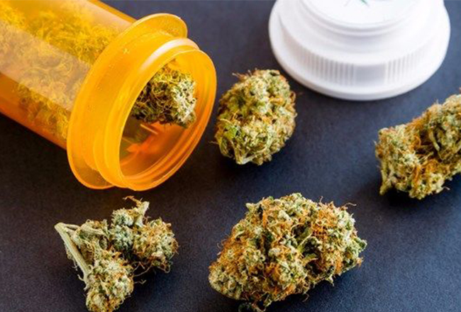 Westmed medical marijuana cannabis
