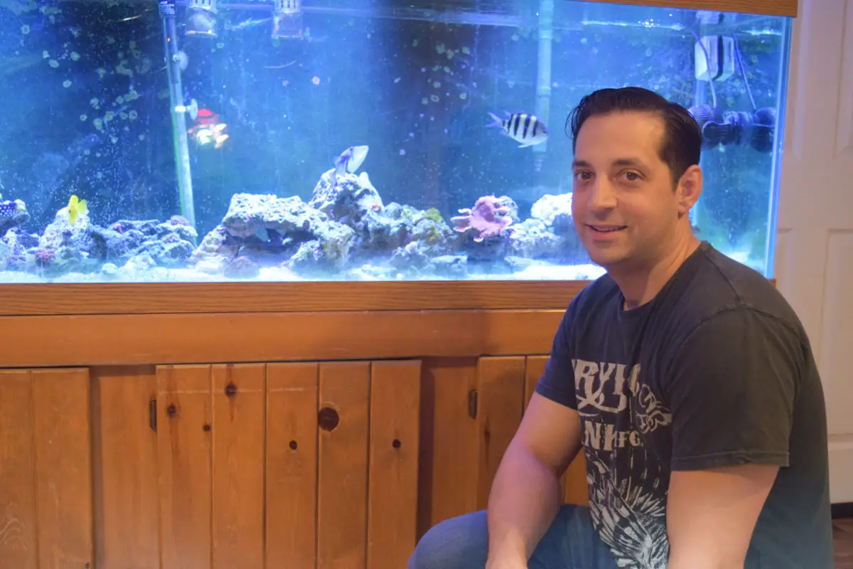 Do-It-Yourself vs. Professional Aquarium Maintenance - Aqua Custom Fish  Tanks