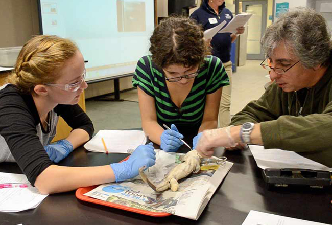 norwalk maritime aquarium STEM