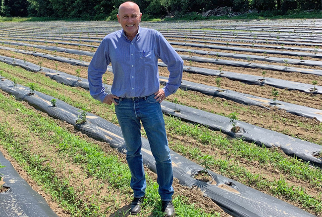 hemp farm Wappinger Dutchess County