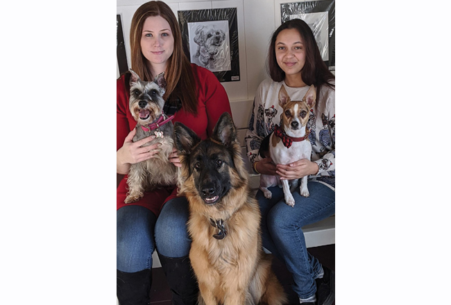 Full-service grooming for your pooch