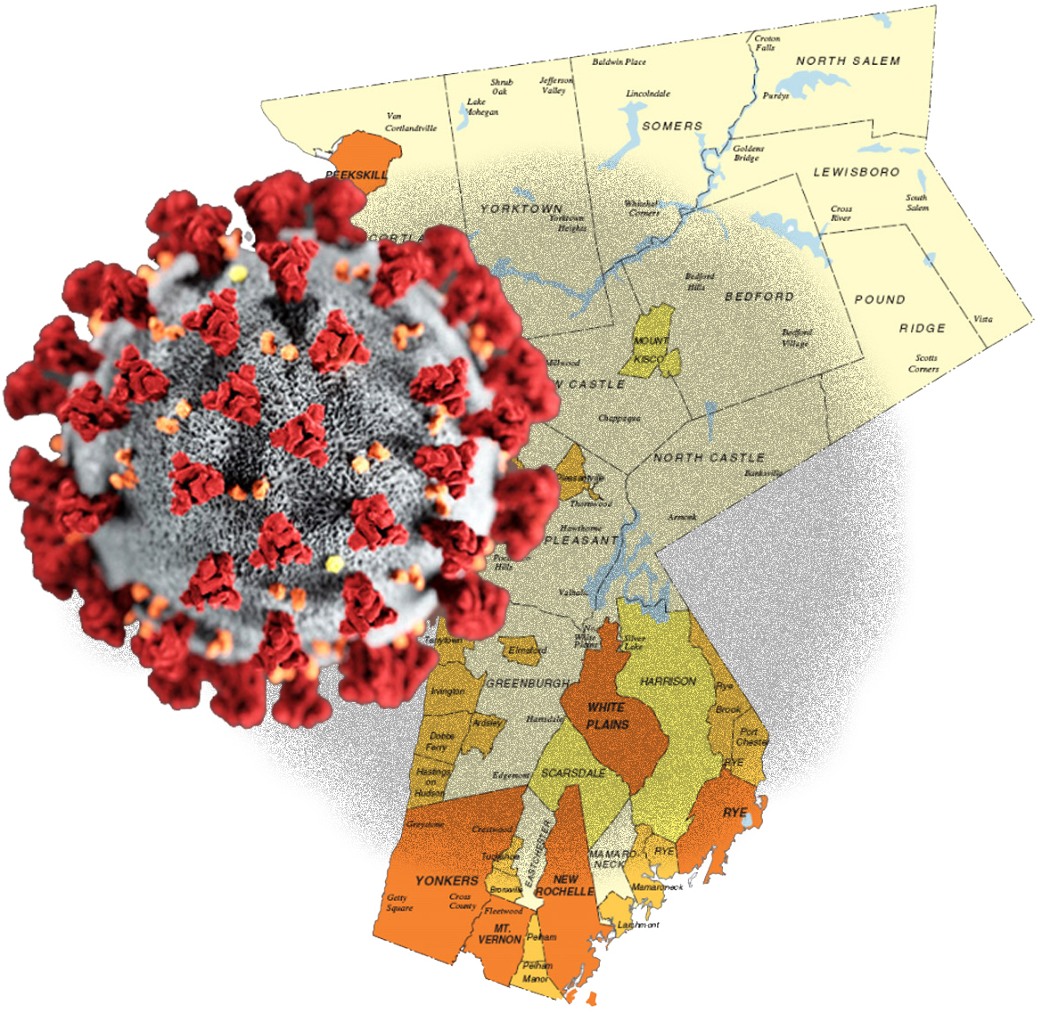 COVID-19 coronavirus