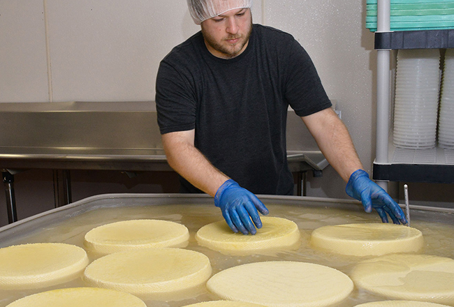 Sprout Creek Farm, award-winning cheesemaker, closes its doors