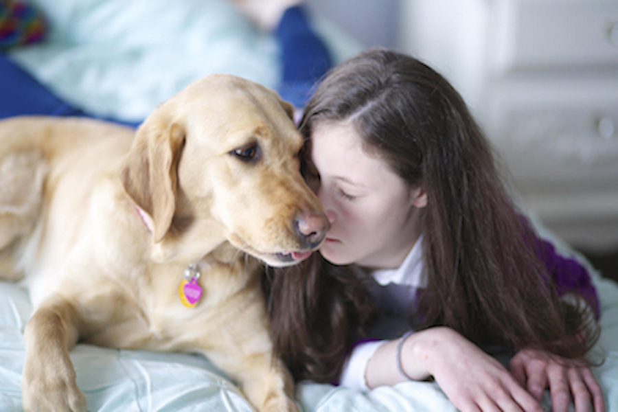 SERVICE DOGS VIRTUAL WALKATHON
