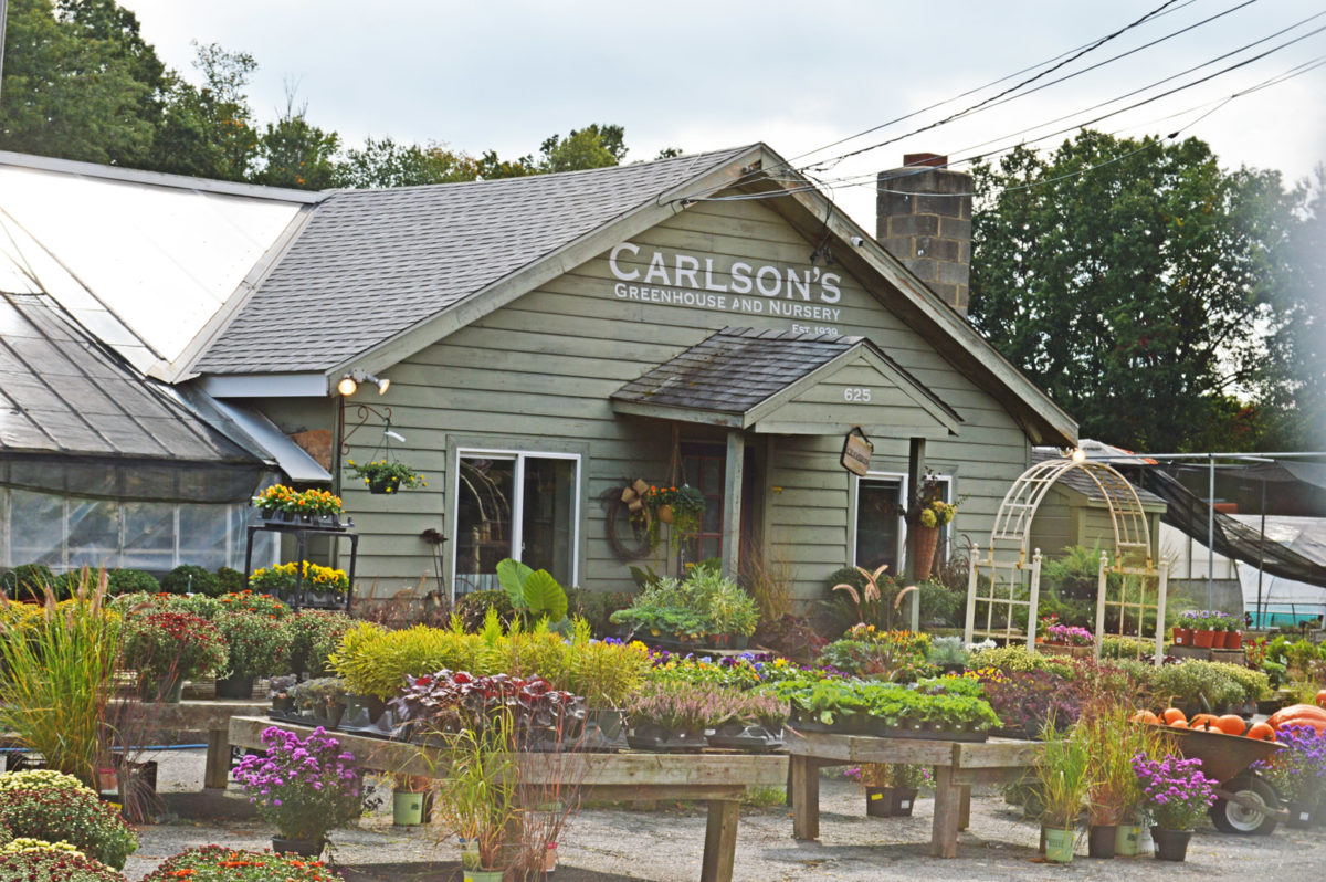 Carlson's Nursery Greenburgh
