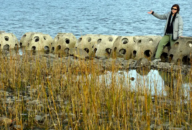 SHU salt marsh